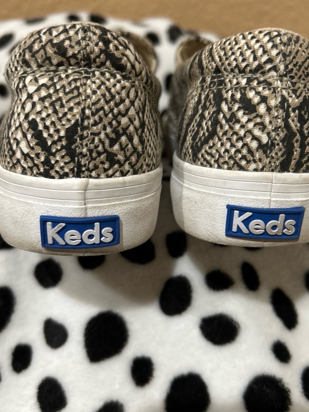 Keds Snake-Print Sneakers in Beige and Black